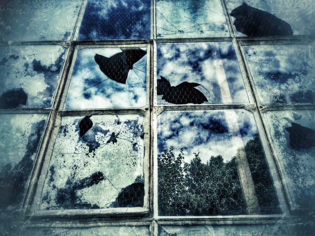 Storm Damage Window Restoration in Chicago